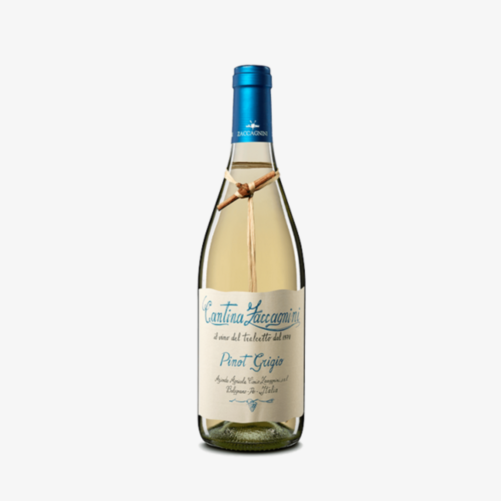 Cantina Zaccagnini Pinot Grigio 2024 12,5% 75cl