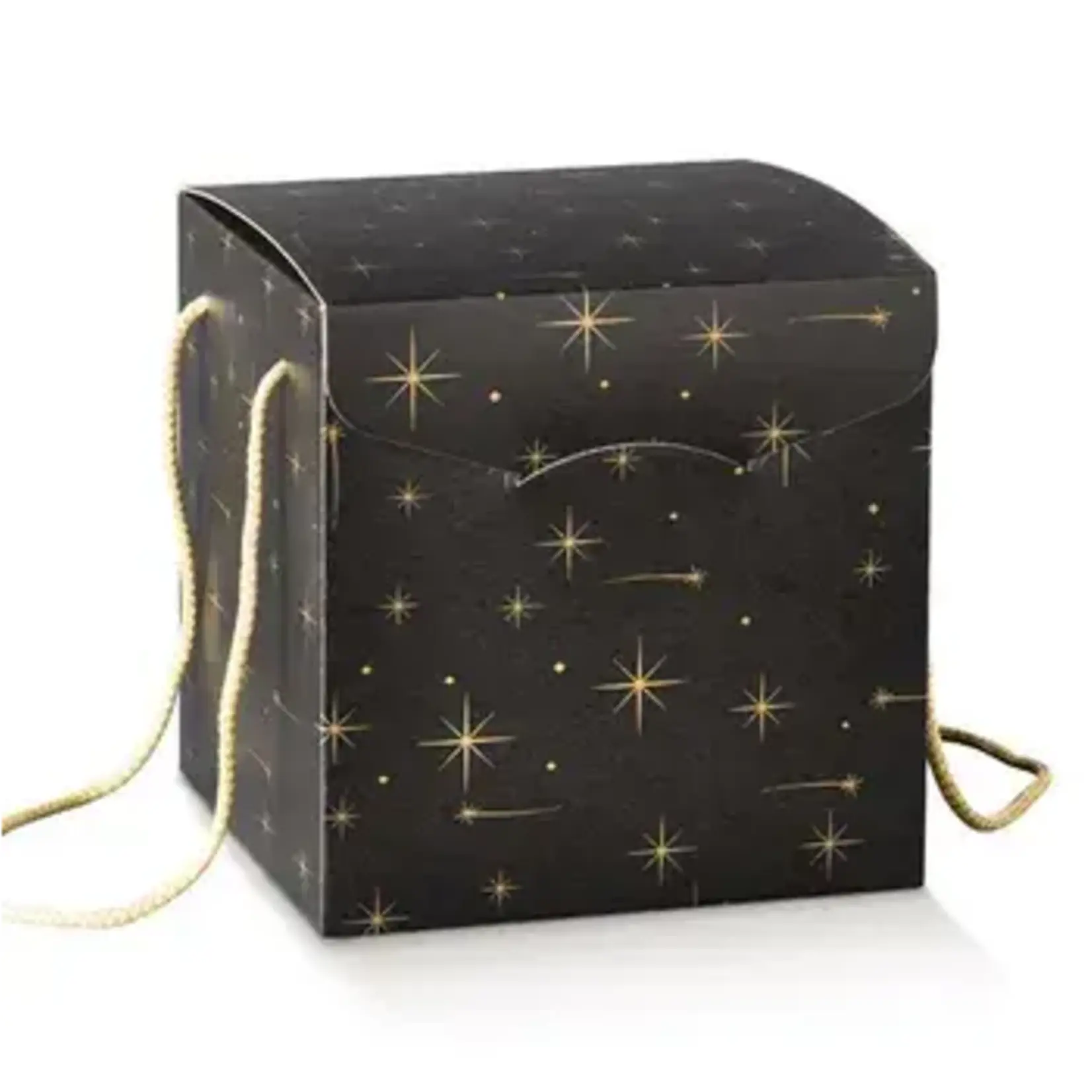 Kerstbox Stars 28x20x35 cm