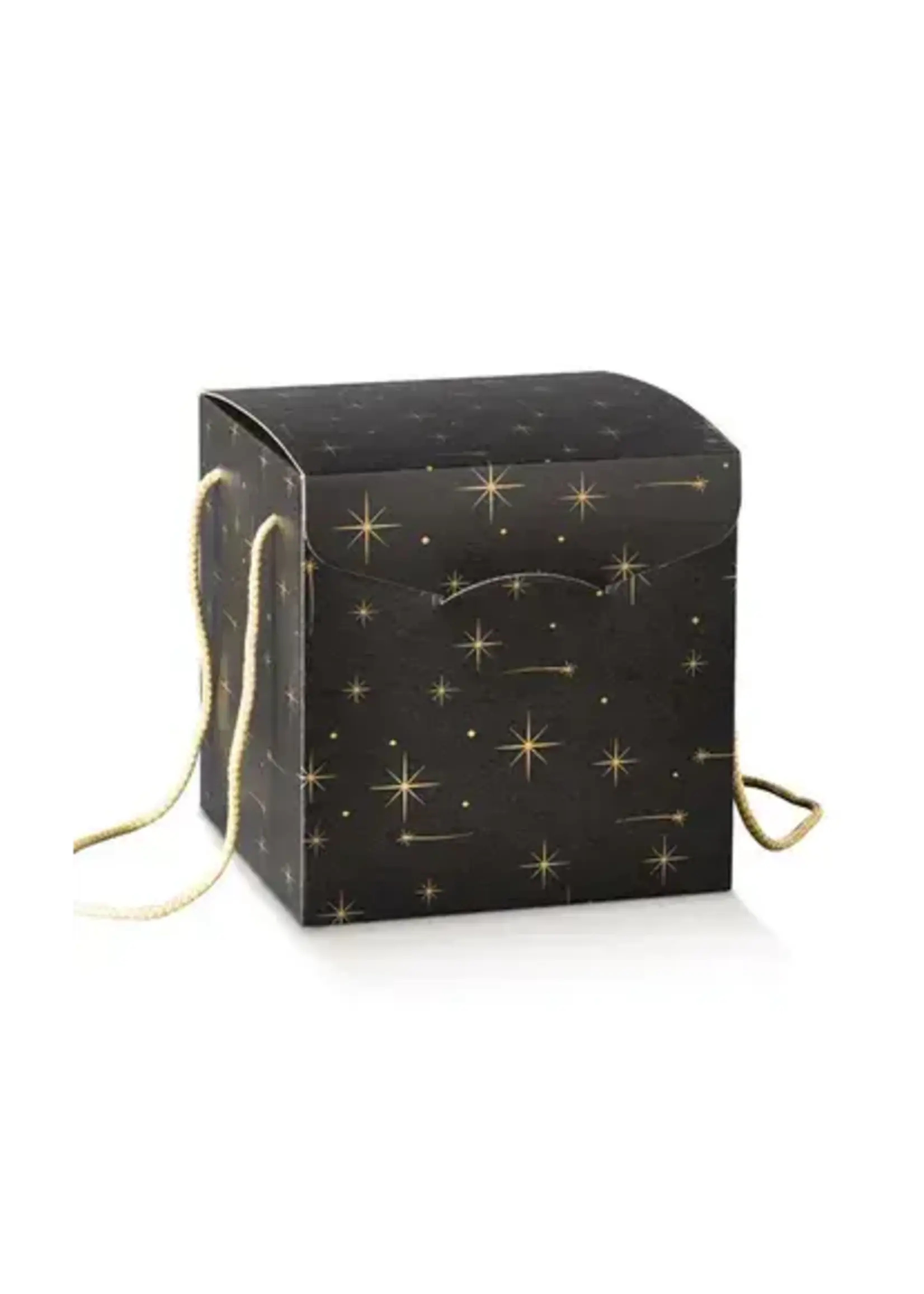 Kerstbox Stars 28x20x35 cm
