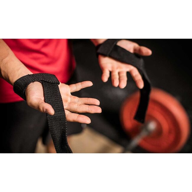 Harbinger Padded lifting straps