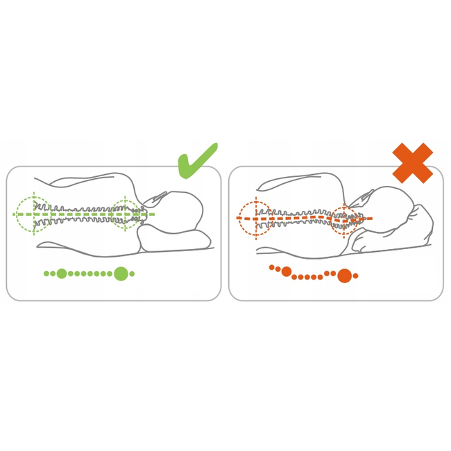 Qmed Orthopedisch hoofdkussen Standard Plus