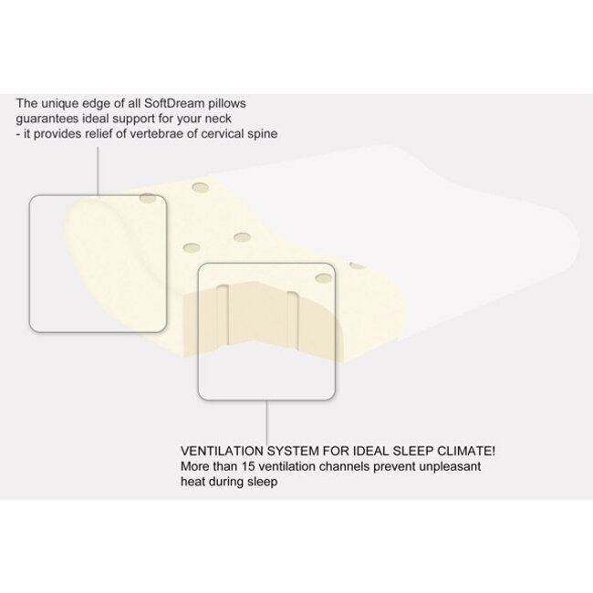 Reh4Clinic Orthopedisch hoofdkussen met memory foam