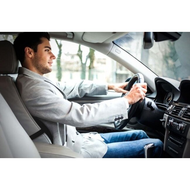 Reh4Clinic Lendekussen / rugkussen