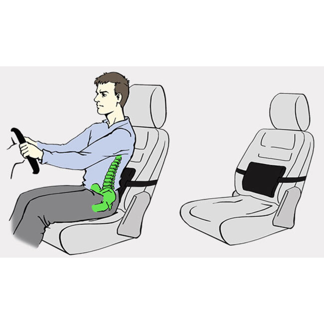 Reh4Clinic Lendekussen / rugkussen