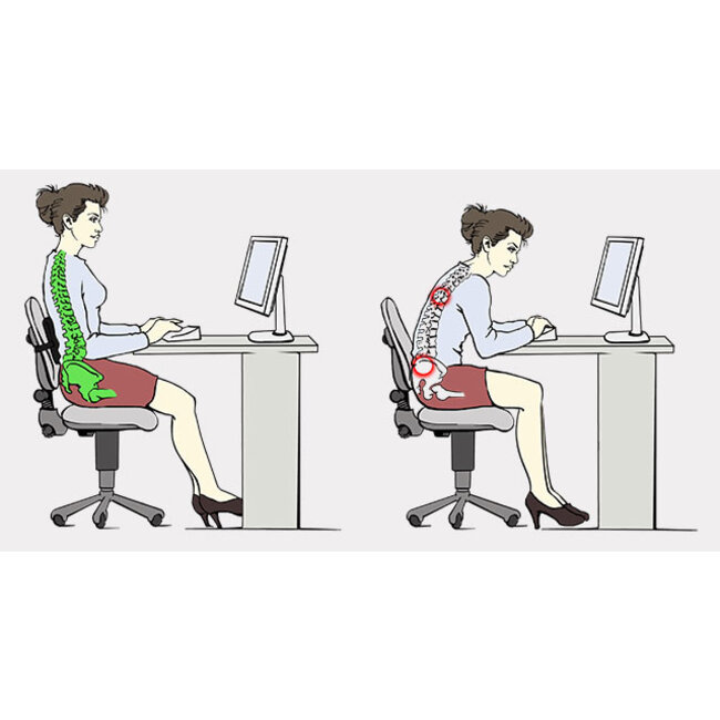 Reh4Clinic Lendekussen / rugkussen