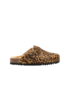 Scholl Verschiedene Farben Fae New F