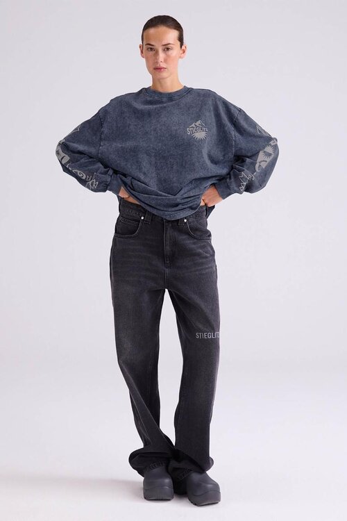 Stieglitz Grau Benjamin Skate Langarmshirt