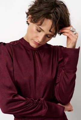Dante 6 Pristine Turtle Top