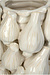 VAND. Lifestyle White Vaas Planter Garlic