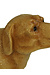 VAND. Lifestyle Brown Kandelaar Dachshund