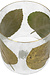 VAND. Lifestyle Groene Windlicht Leaf