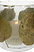 VAND. Lifestyle Groene Windlicht Leaf