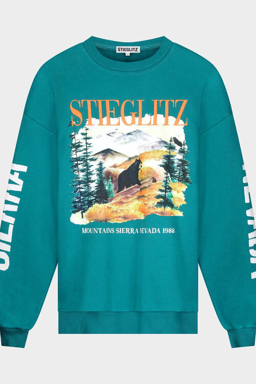 Stieglitz Grüner Alejandro Pullover