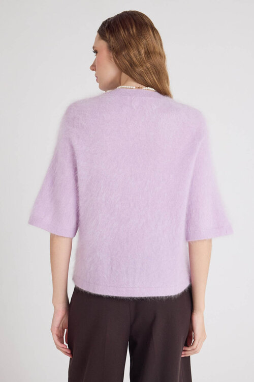 Absolut Cashmere Lilac Jenna Pullover