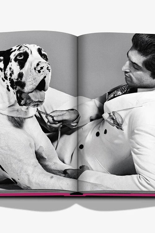 Assouline Chic Hunde