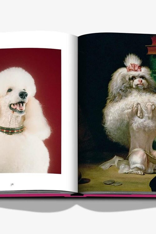 Assouline Chic Hunde