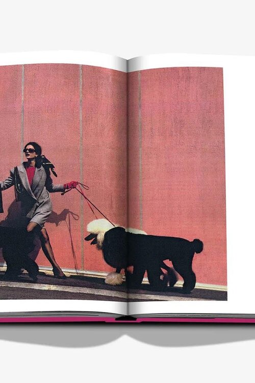 Assouline Chic Hunde