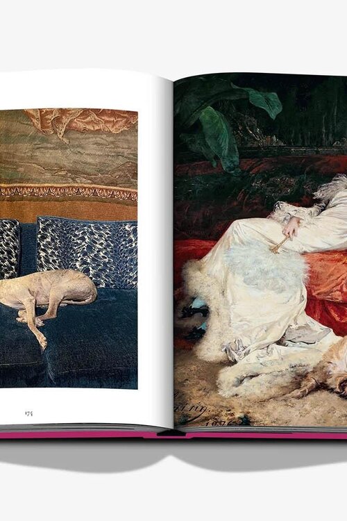 Assouline Chic Hunde