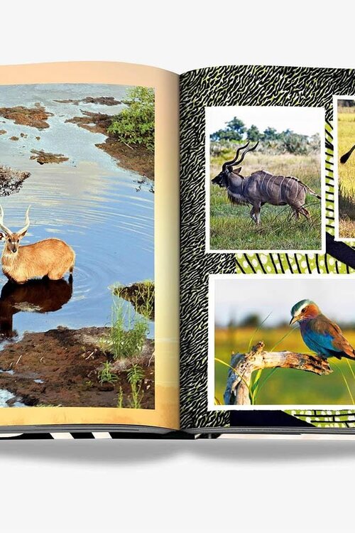 Assouline African Adventures: Die großartigen