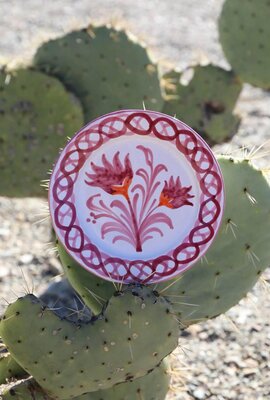 Harper & Yve Rosa Harper & Yve X Lenta Living