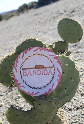 Harper & Yve Rosa Harper & Yve X Lenta Living