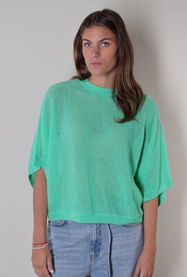 Absolut Cashmere Grün Benedicta Pullover