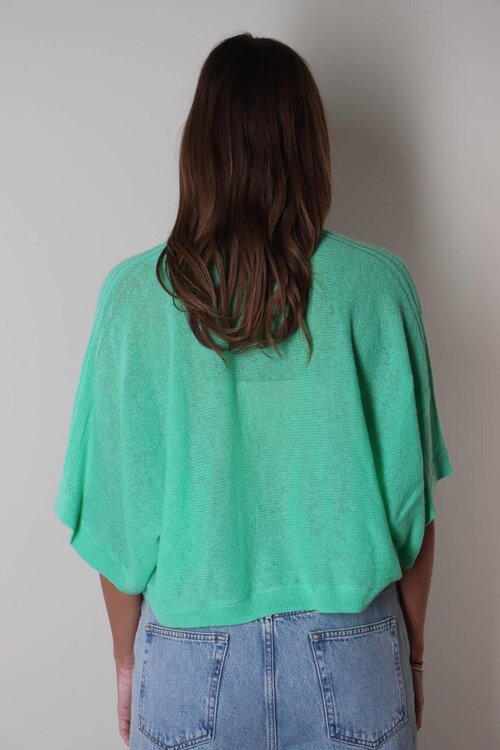 Absolut Cashmere Grün Benedicta Pullover