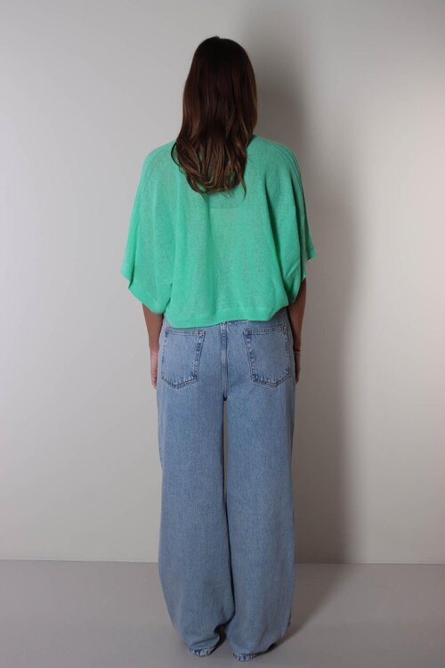 Absolut Cashmere Grün Benedicta Pullover