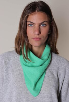 Absolut Cashmere Grüner Juni-Schal