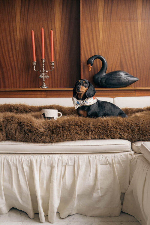 Anna & Nina Weiße Dachshund-Tasse
