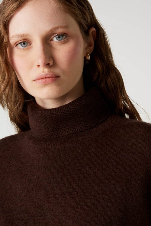 Absolut Cashmere Clara Pullover Braun