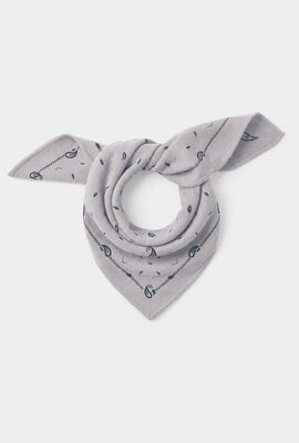 Absolut Cashmere Annabelle Print Schal Grau