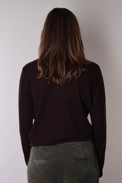 Absolut Cashmere Themys Pullover Braun
