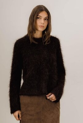 Urban Pioneers Joules Pullover Braun