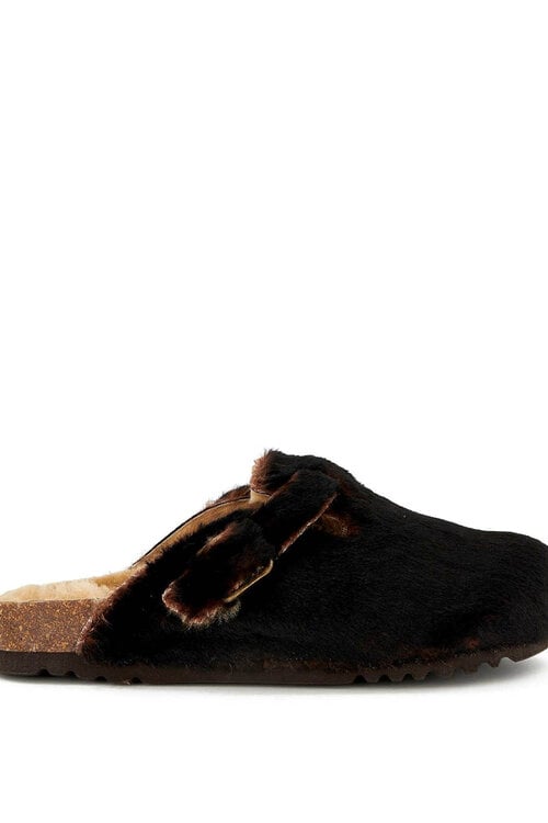 Scholl Braun Fae New F