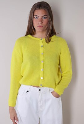 American Vintage Gelbe Weste