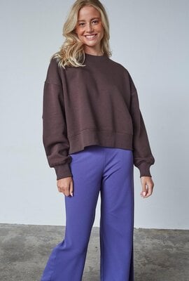 Sister Point Hike Sweatshirt braun