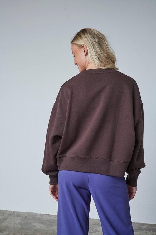 Sister Point Hike Sweatshirt braun