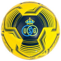 Topfanz Fußball