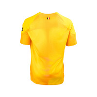 Nike  Union Europa League Maillot Gardien Extérieur Jaune manches courtes2023 - 2024