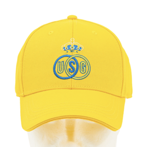 Pet Geel met logo - Champions League