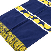 Topfanz Block scarf RUSG - Champions League