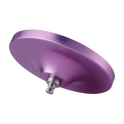 Adattatore a ventosa grande Hismith Premium KilcLok viola