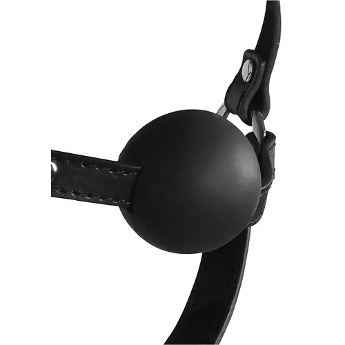 Kopfgeschirr mit Maske & Gagball Schwarz