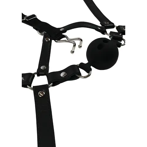 Harnais de tête avec bâillon respiratoire et crochets pour le nez