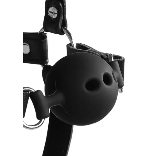 Harnais de tête avec bâillon respiratoire et crochets pour le nez