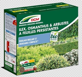 Ilex Osmanthus en bladhoudende heesters meststof