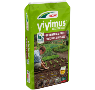 Vivimus Groenten en Fruit