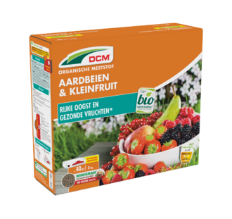 DCM Aardbeien en Kleinfruit