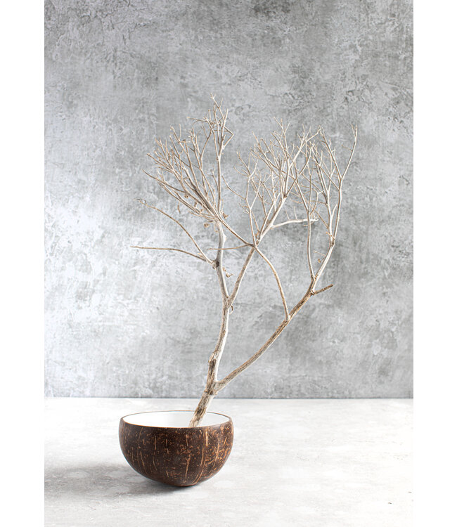 Bazar Bizar De Coco Food Kom - Naturel Wit